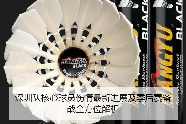 深圳队核心球员伤情最新进展及季后赛备战全方位解析